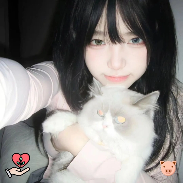 云起